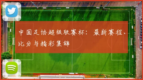中国足协超级联赛杯：最新赛程、比分与精彩集锦