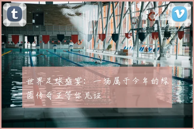 世界足球盛宴：一场属于今年的绿茵传奇正等你见证