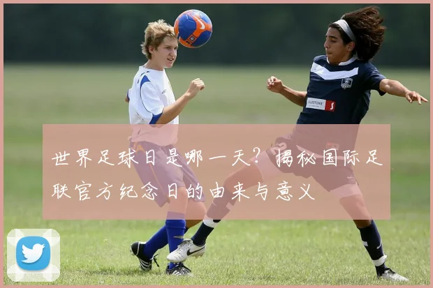 世界足球日是哪一天？揭秘国际足联官方纪念日的由来与意义