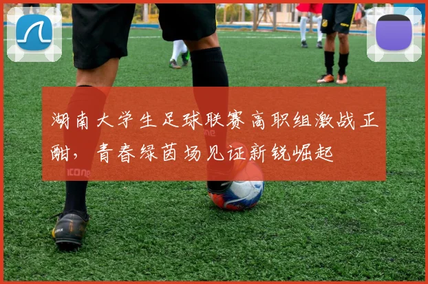 湖南大学生足球联赛高职组激战正酣，青春绿茵场见证新锐崛起