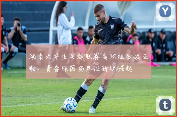 湖南大学生足球联赛高职组激战正酣，青春绿茵场见证新锐崛起